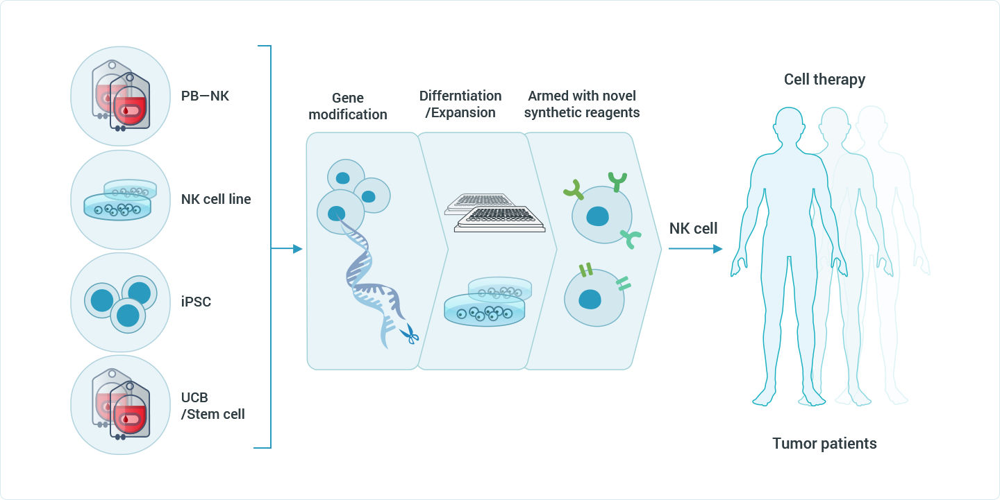 来源于不同原料的NK 细胞生产：同种异体NK细胞可跨越细胞生产的技术障碍