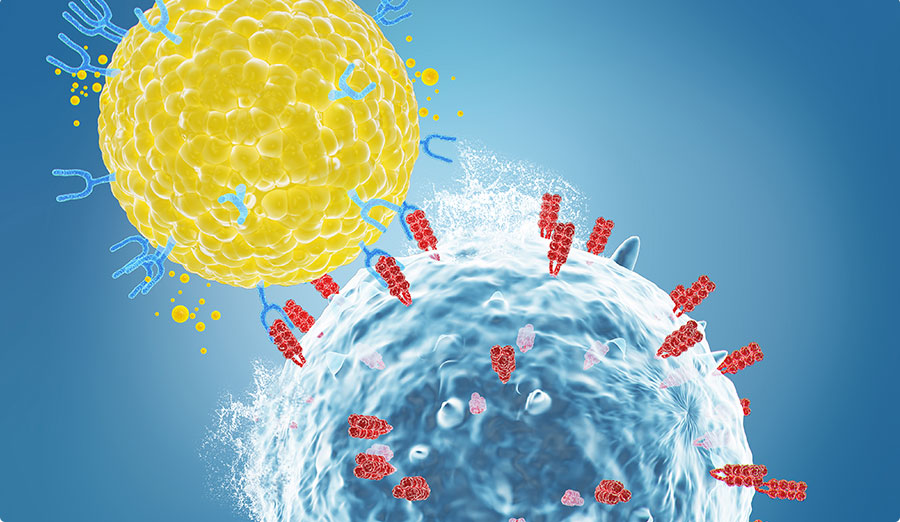 NK (Natural Killer)  Cells